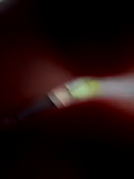 VixyGang online show from September 30, 2025, 7:42 pm