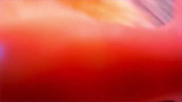 Eva Davi online show from March 23, 2026, 3:06 am