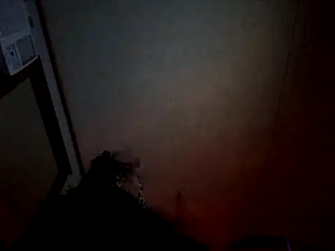 Snapshot of Off_the_Lesh chatting on July 8, 2026, 4:07 pm Off the Lesh online show from July 8, 2026, 4:07 pm