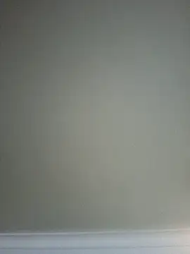 Snapshot of Off_the_Lesh chatting on July 23, 2026, 6:33 am Off the Lesh online show from July 23, 2026, 6:33 am