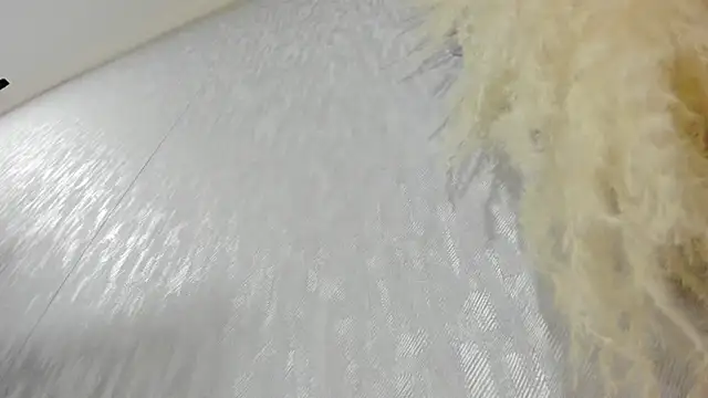 Lissalittlee online show from October 22, 2025, 7:57 pm