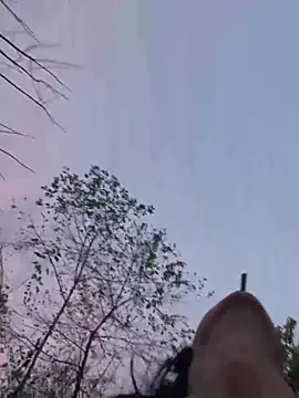 Snapshot of Boypolla11 chatting on February 6, 2026, 11:17 am Boypolla11 online show from February 6, 2026, 11:17 am