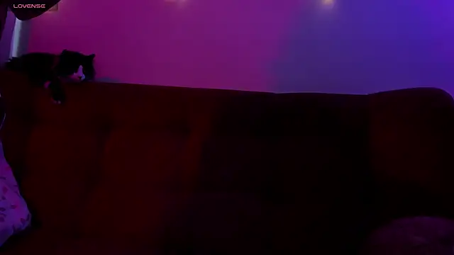 ohpetitemuse online show from November 19, 2025, 3:23 pm