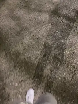 Robin45tr online show from January 14, 2026, 10:57 pm