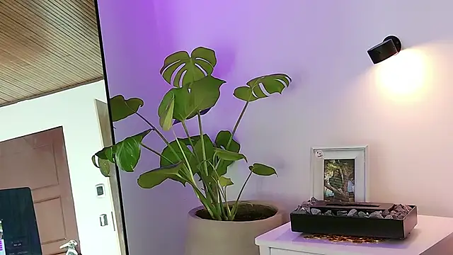 ABY509 online show from March 20, 2026, 12:44 am