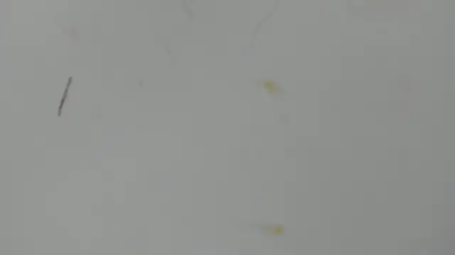 Snapshot of Antonellanospik_ chatting on March 16, 2025, 3:25 am Antonellanospik online show from March 16, 2025, 3:25 am