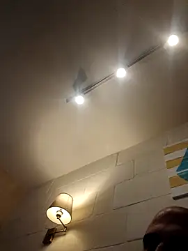 Snapshot of Denisilboss chatting on February 20, 2026, 1:57 pm Denisilboss online show from February 20, 2026, 1:57 pm