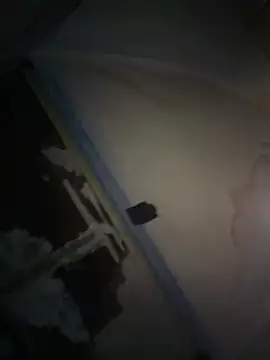 joeycbigcock online show from April 9, 2026, 1:07 am