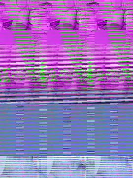 Snapshot of Asian_girl13 chatting on January 18, 2026, 2:37 am Asian girl13 online show from January 18, 2026, 2:37 am