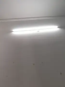 Sonam-378 online show from October 14, 2025, 9:43 am