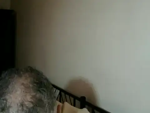 100Tauros online show from November 15, 2025, 2:43 pm