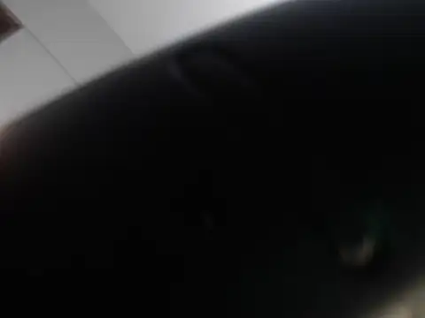 judy the booty online show from March 6, 2025, 10:36 pm