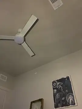 Snapshot of goldbuni chatting on December 19, 2025, 3:54 am goldbuni online show from December 19, 2025, 3:54 am