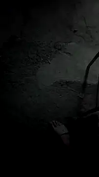 mendelicius online show from December 20, 2025, 10:29 am