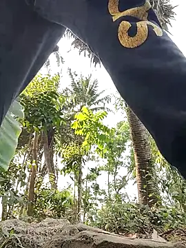 rayhan085 online show from March 19, 2025, 8:23 am