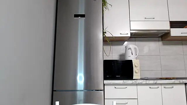 Snapshot of SierraSky_ chatting on January 5, 2026, 6:11 pm SierraSky online show from January 5, 2026, 6:11 pm