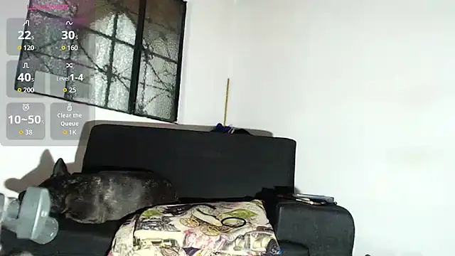 willian m777 online show from February 6, 2026, 4:52 am