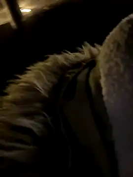 Snapshot of Ner0924_N chatting on December 2, 2024, 4:26 pm Ner0924 N online show from December 2, 2024, 4:26 pm