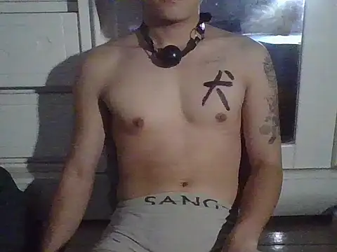 ZHIIz online show from April 20, 2026, 2:29 pm