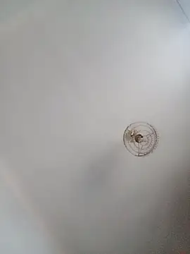 Snapshot of katymojadit chatting on January 20, 2025, 3:28 pm katymojadit online show from January 20, 2025, 3:28 pm