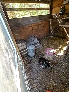 Mistress Melissa online show from February 3, 2025, 4:41 pm