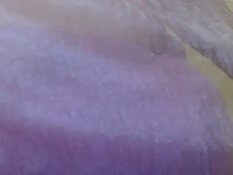 LOVERIAKOL online show from March 3, 2026, 10:22 am