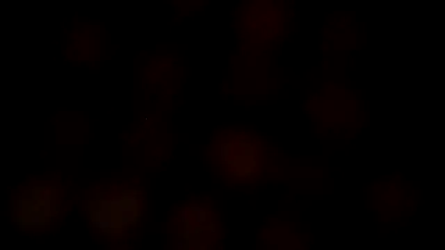 leatherz69 online show from February 27, 2025, 7:19 am