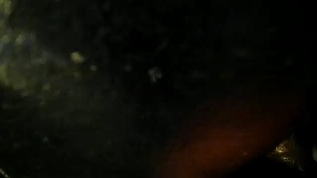 Snapshot of leatherz69 chatting on May 22, 2026, 2:42 am leatherz69 online show from May 22, 2026, 2:42 am