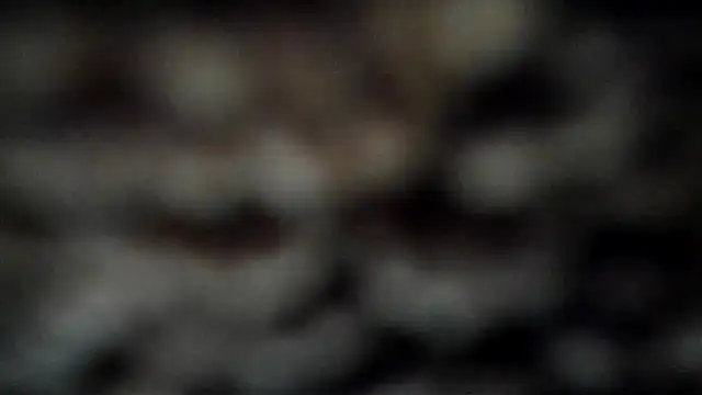 leatherz69 online show from March 7, 2025, 4:02 am