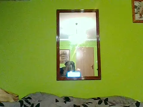 Tiger202441 online show from January 7, 2026, 8:25 pm