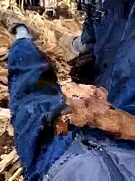 murokkk31 online show from December 4, 2025, 8:35 am