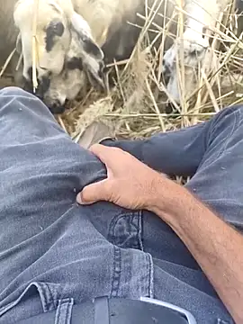 murokkk31 online show from October 29, 2025, 9:30 am