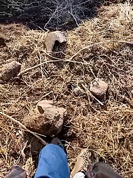 murokkk31 online show from December 3, 2025, 6:25 am