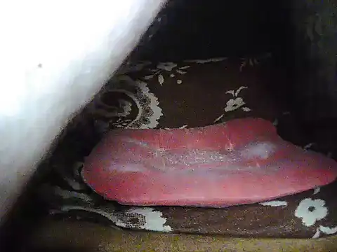 jerkingcroatia2 online show from March 25, 2026, 4:12 am