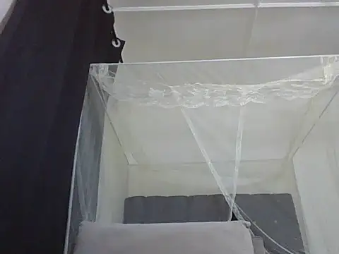 mummie Nasty254 online show from November 22, 2025, 9:57 pm