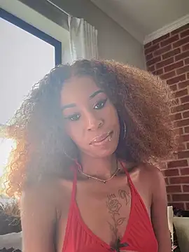 Snapshot of Dime-__ chatting on February 21, 2025, 1:33 pm Dime-   online show from February 21, 2025, 1:33 pm