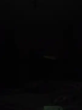 Snapshot of wlammi_ptr chatting on September 14, 2025, 12:22 am wlammi ptr online show from September 14, 2025, 12:22 am