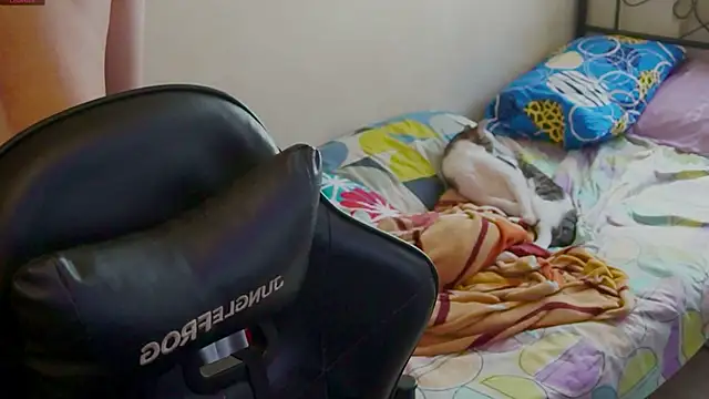 Snapshot of xofix chatting on September 20, 2025, 8:03 pm xofix online show from September 20, 2025, 8:03 pm