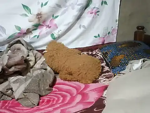 mdivah online show from November 13, 2025, 6:34 pm