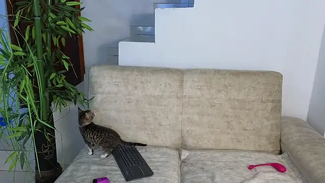 Lorenne Miller online show from October 20, 2025, 3:30 am