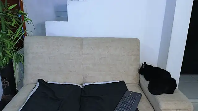 Snapshot of Lorenne_Miller chatting on May 8, 2026, 3:54 am Lorenne Miller online show from May 8, 2026, 3:54 am