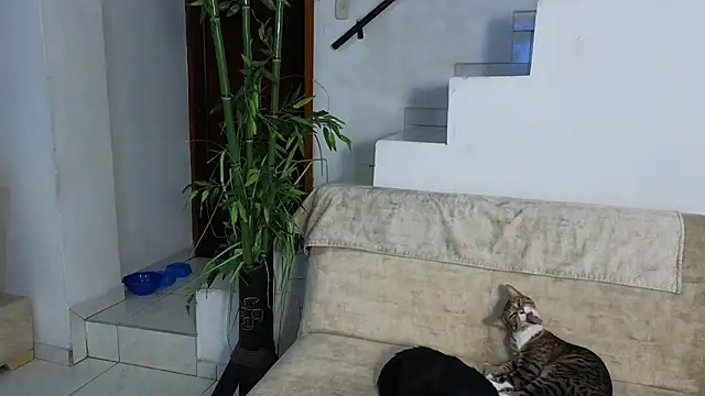 Lorenne Miller online show from April 25, 2026, 2:03 am