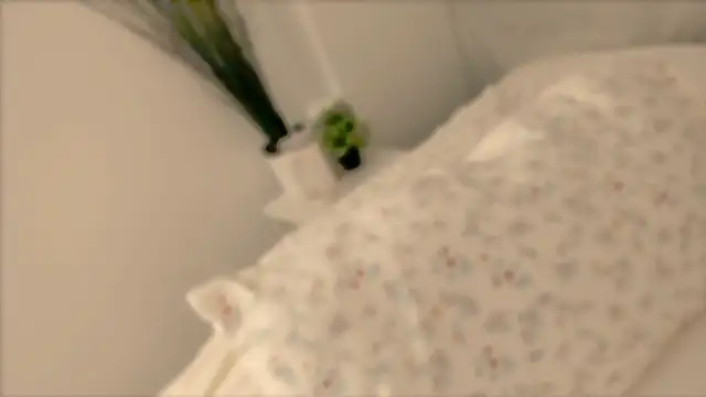  cherry bloss  online show from November 28, 2025, 11:05 pm