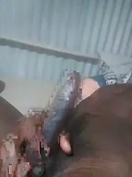 advocate2 online show from November 8, 2025, 6:17 am