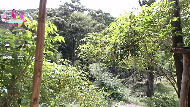 andreu mature online show from November 20, 2025, 3:12 pm