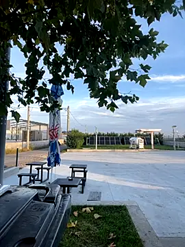 baramadalin online show from October 26, 2025, 5:30 am