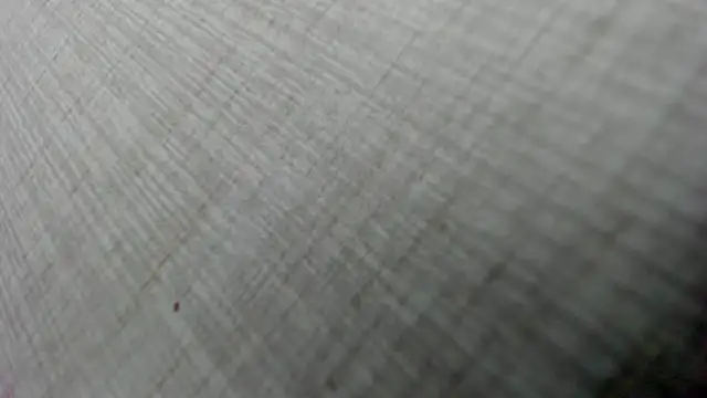 AishaRouhi online show from February 3, 2026, 5:05 am