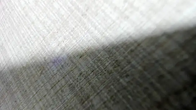 AishaRouhi online show from March 14, 2026, 4:40 am