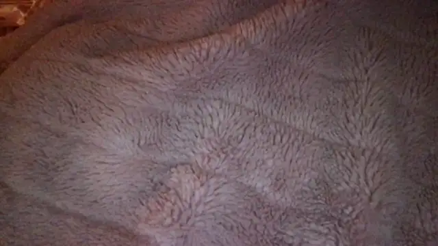 loveofbea online show from April 9, 2026, 6:19 am