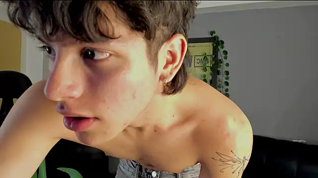 bravoboreal online show from December 12, 2024, 5:04 pm